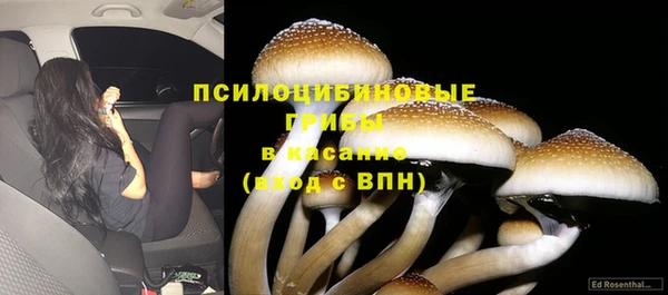 мет Нея