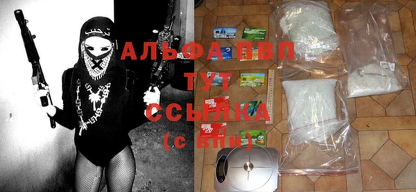 дживик Билибино