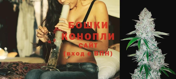 дживик Билибино