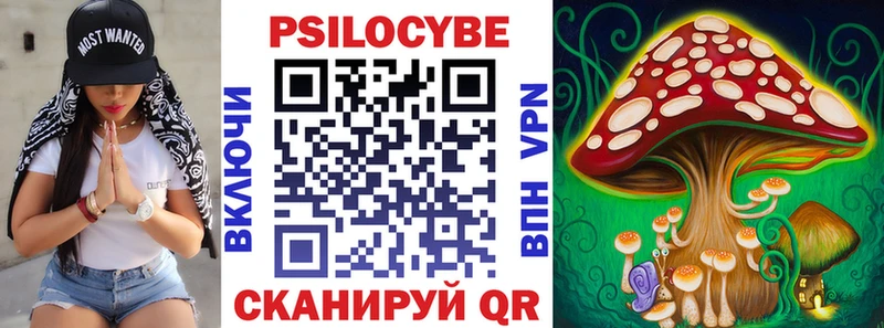 магазин наркотиков Камешково мега как зайти Галлюциногенные грибы прущие грибы